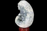 Crystal Filled Celestine (Celestite) Egg Geode #88319-1